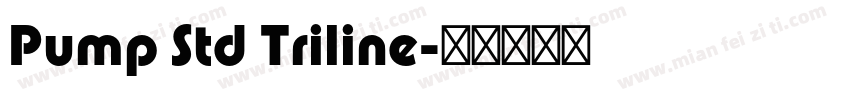 Pump Std Triline字体转换